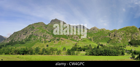 Panorama von Feldern und Fjälls in Great Langdale im Sommer im englischen Lake District Stockfoto