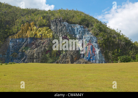 Detail der Mural De La Prehistoria im Auftrag von Che Guevara in Valle de Vinales, in Zentralkuba Stockfoto