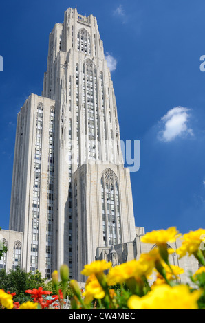Dom des Lernens an der University of Pittsburgh, in Oakland Nachbarschaft von Pittsburgh, Pennsylvania. Stockfoto