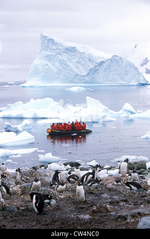 Ökologische Touristen in Zodiac Schlauchboot beobachten Gentoo Penguins Paradies Harbor, Antarktis Stockfoto