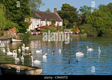 Riverside Public House entlang den Norfolk Broads, Nr Norwich, Norfolk Stockfoto