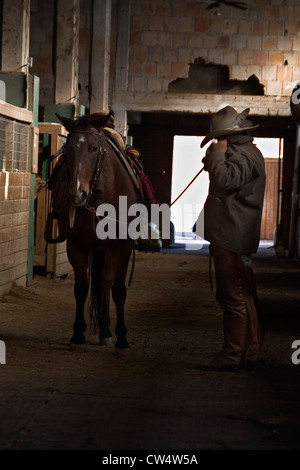 Fort Worth Stockyards Ft Worth, Tx USA Stockfoto