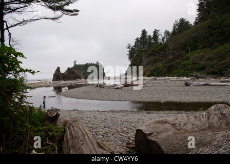 Junge steht am Rand der kleinen Lagune bei Ruby Beach, Olympic National Forest Stockfoto