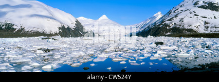 Eisberge in Portage Lake und Portage-Gletscher in Alaska Stockfoto