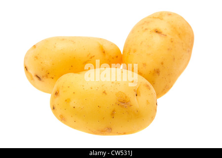 Frühkartoffeln, das sind die Jersey Royal Variety - Studio gedreht mit einem weißen Hintergrund Stockfoto