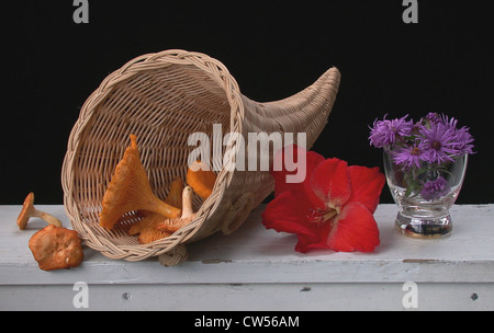 Füllhorn mit Pilzen auf Fensterbank neben Blumen frisch gepflückt, Vermont USA Stockfoto