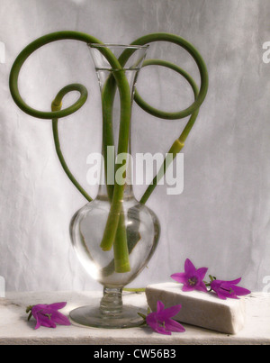 Knoblauch Scapes in Vase mit kleinen Blumen auf der Fensterbank, Vermont, USA Stockfoto