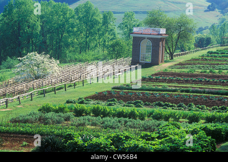 Garten und Pavillon in Monticello, Heimat von Thomas Jefferson, Charlottesville, Virginia Stockfoto