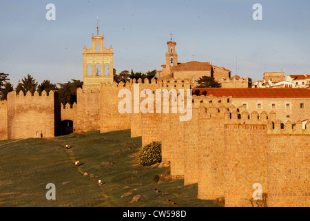 Mittelalterliche Stadtmauern von Ávila im Abendlicht, Kastilien und León, Spanien, Europa. Stockfoto