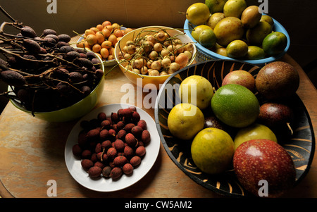 Thai Früchte, exotische und tropische Früchte von Thailand, Stillleben-Display erstaunlich und leckere Früchte Stockfoto