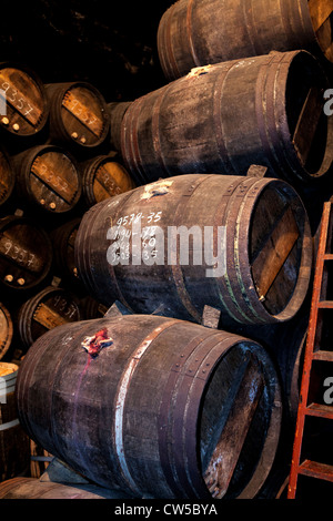 Wein-Fässer gestapelt und Alterung in Keller, La Rioja, Spanien, Europa. Stockfoto