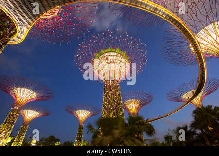 "Supertrees" Singapurs Gardens by the Bay. Am 29.06.2012 eröffnet. Auf neu gewonnenem Land in Singapur Marina Bay Gegend gelegen. Stockfoto