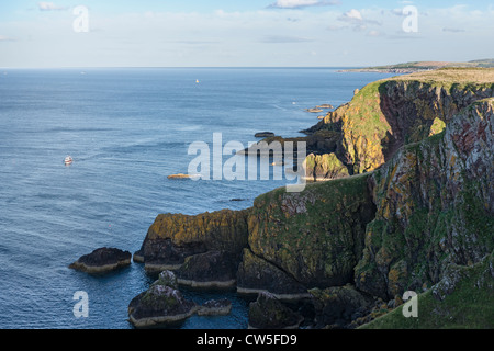 Berwickshire Küste, Klippen zwischen St. Abbs Head und St. Abbs Dorf. Stockfoto