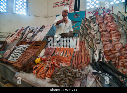 frischer Fisch zum Verkauf an die Marche Central in Casablanca, Marokko Stockfoto