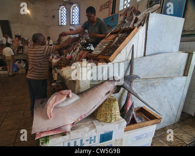 frischer Fisch zum Verkauf an die Marche Central in Casablanca, Marokko Stockfoto