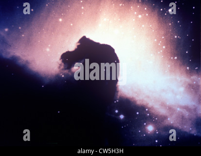 Pferdekopfnebel im Sternbild Orion Stockfoto