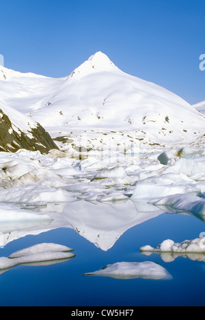 Portage Glacier und Portage Lake von Seward Highway, Alaska aus gesehen Stockfoto