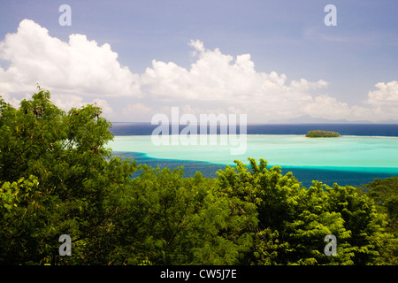 Wald am Meer, Insel Raiatea, Tahiti, Französisch-Polynesien Stockfoto