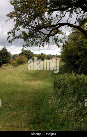 Fußweg auf Venta Icenorum Roman Stadt außerhalb Norwich, Norfolk, Großbritannien Stockfoto