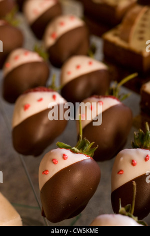 Nahaufnahme von Erdbeeren in Schokolade getaucht Stockfoto