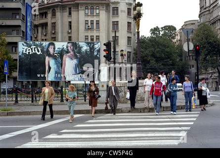 Fußgängerzone Zebrastreifen im Zentrum von Bukarest, Rumänien Stockfoto