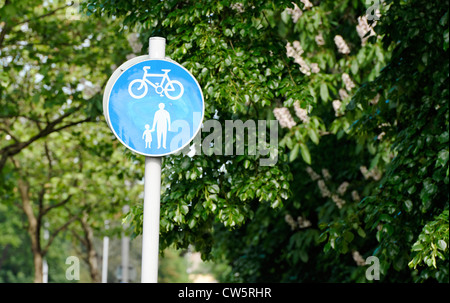 Englische Roadsign für freigegebene Pedal Rad- und Fußgängerweg. Radfahrer Vorfahrt für Fußgänger. Stockfoto