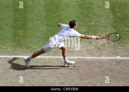 Andy Murray (GBR) in Aktion in Wimbledon Stockfoto