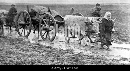 Türken, die Flucht vor der anrückenden bulgarischen Armee (1912) Stockfoto