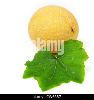 Galia Melone isoliert auf weiss Stockfoto