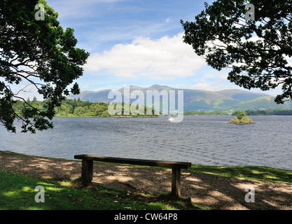 Bank mit Blick über die Bucht von Otterbield auf Derwent Water in Richtung Skiddaw im Sommer im englischen Lake District Stockfoto