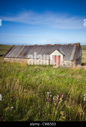 Alte Scheune in einem Feld auf der Isle Of Skye, Schottland, UK Stockfoto