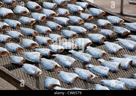 getrockneter Fisch Stockfoto