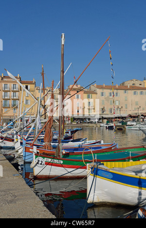 Bunte Fischerboote im Hafen von Saint-Tropez, Saint-Tropez, Côte d ' Azur, Departement Var, Provence-Alpes-Côte d ' Azur, Frankreich Stockfoto