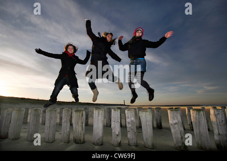 drei junge Frauen, die einen Sprung von Holzpfählen der Buhne am Strand, Niederlande, Zeeland, Breskens, Sluis Stockfoto