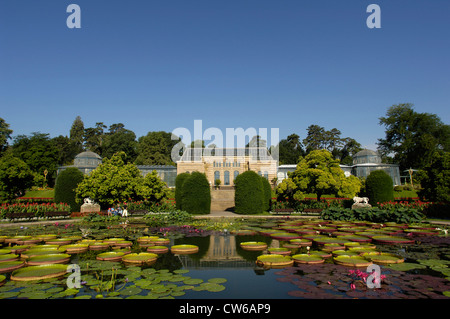 Wilhelma, zoologischen und botanischen Garten, Teich mit Wasser Lilien, Deutschland, Baden-Württemberg, Stuttgart Stockfoto