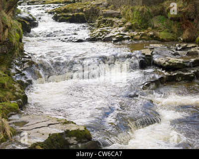 Wasserfälle am Gayle Beck in Hawes, einer kleinen Marktgemeinde in North Yorkshire, ist berühmt als Heimat des Wensleydale Käses. Stockfoto