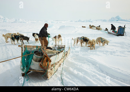 zwei Inuit-Jäger mit Hundeschlitten bei Cape Tobin, Grönland, Ostgroenland, Tunu, Ittoqqortoormiit Stockfoto