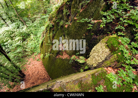 Rockwall in einem Wald in der Nähe von Betzdorf, Deutschland, Rheinland-Pfalz Stockfoto