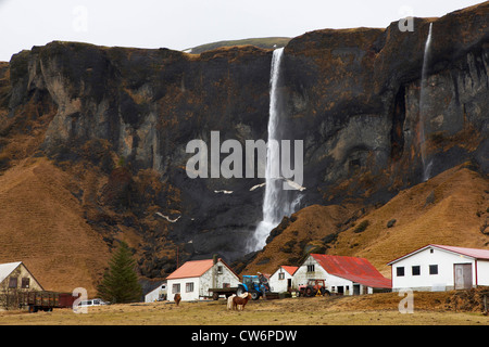 Bauernhof Foss vor monumentalen Klippe mit Wasserfall Fagrifoss/Foss eine Sida Island, Süd-Insel Stockfoto