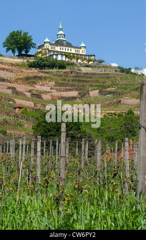 Spitzhaus 1622 erbaute Wahrzeichen in die Weinberge von Radebeul bei Dresden, Deutschland, Sachsen, Dresden Stockfoto