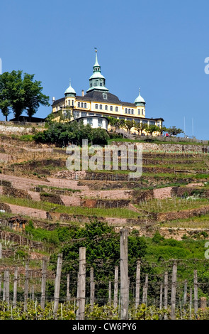 Spitzhaus 1622 erbaute Wahrzeichen in die Weinberge von Radebeul bei Dresden, Deutschland, Sachsen, Dresden Stockfoto