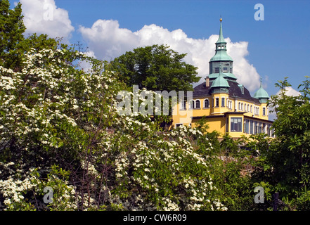 Spitzhaus 1622 erbaute Wahrzeichen in die Weinberge von Radebeul bei Dresden, Deutschland, Sachsen, Dresden Stockfoto