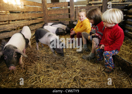 Strahlende Dorfkinder im Schweinestall Stockfoto