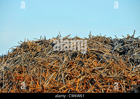 Metall-Stacks auf einem Wasteyard, Duisburg, Ruhrgebiet, Nordrhein-Westfalen, Deutschland Stockfoto