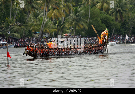 Ruderern aus Nehrutrophy Regatta in Alappuzha wieder Wasser früher bekannt als Alleppey, Kerala, Indien Stockfoto