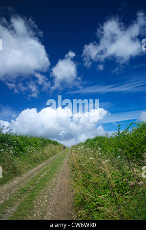 Die South Downs Way, Hampshire, UK Stockfoto