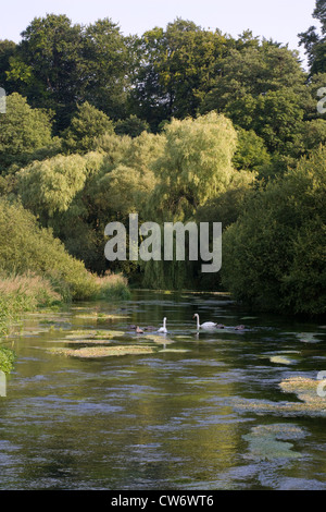 Hampshire: Fluss Itchen Stockfoto