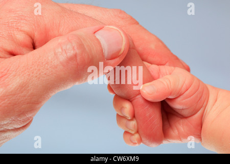 ein Baby Hand hält der Vater Zeigefinger Stockfoto