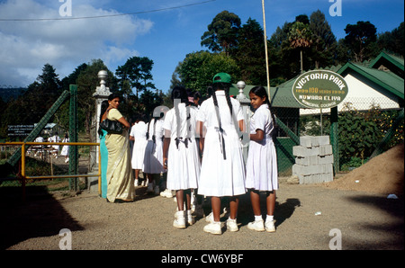 Schulmädchen im Viktoria-Park in Nuwara Eliya, Sri Lanka, Zentralprovinz, Nuwara Eliya Stockfoto
