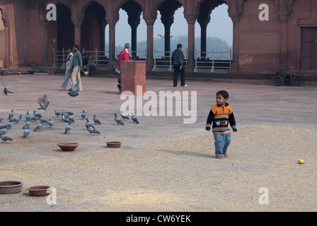 Kind zu Fuß in den Hof im Inneren der Jama Masjid in Delhi. Er hatte Spaß mit den Tauben und würde dazu führen, dass sie zu fliegen. Stockfoto